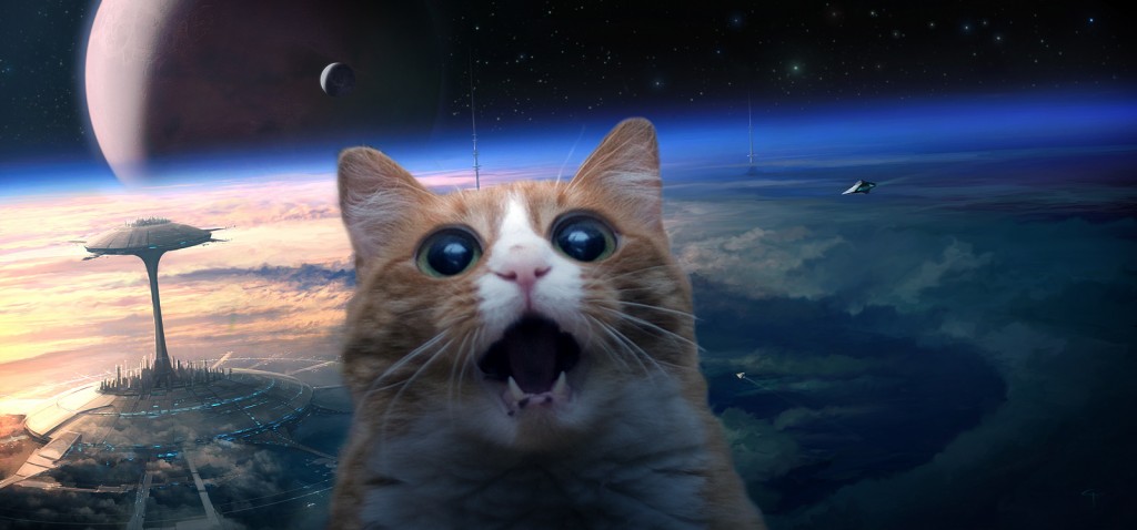 SPACE-CAT